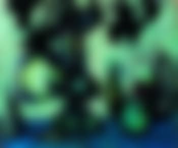 Still life (preview)