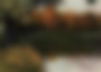 Autumn landscape (preview)