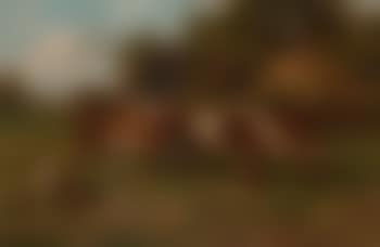Calves and poultry by a farm (preview)