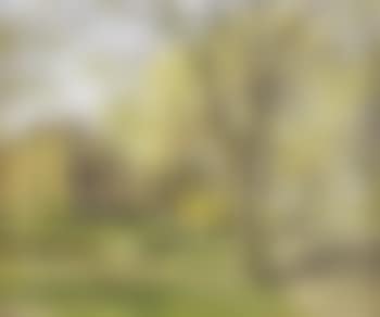 Spring in Essex (preview)