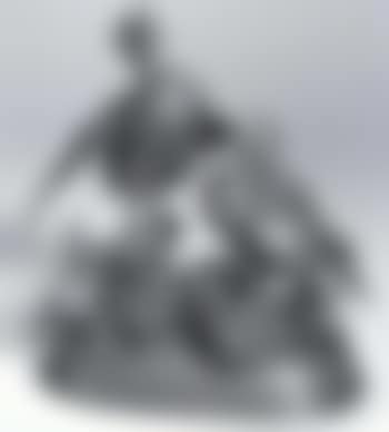 Pair of ducks (preview)