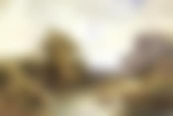 Lac paisible (preview)