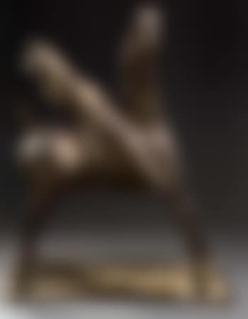 Rider (preview)