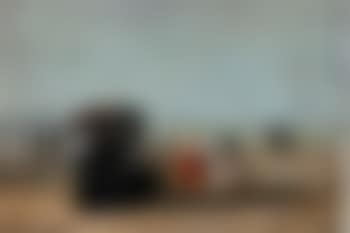 Trouville scene de plage (preview)