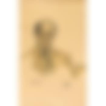 Portrait of Arnold Schonberg with left arm raised (preview)