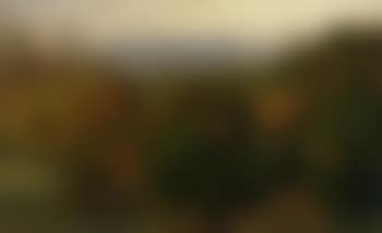 View of the Citadel, Corfu, with orange grove (preview)