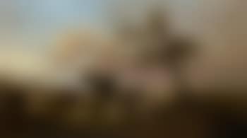 Cattle and sheep in an extensive landscape (preview)