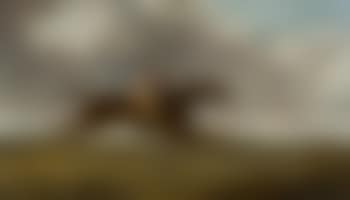 Sam, a racehorse with jockey up (preview)