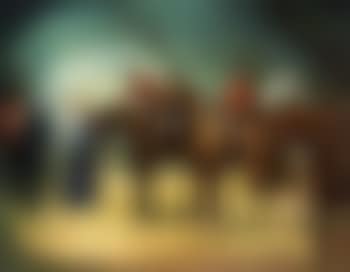 Show jumpers (preview)