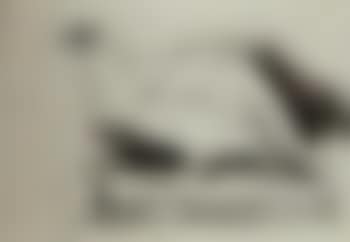 Birds (preview)