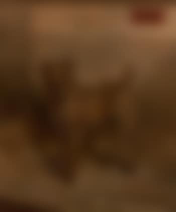 First (preview)