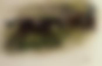 Pursuit (preview)