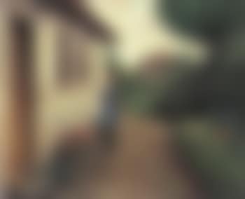 Towards evening - what are the two old people talking about (preview)
