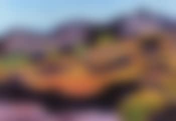 Landscape, Koster (preview)