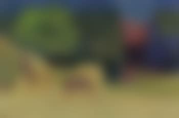 Summer landscape with hay drying (preview)