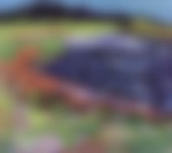 Beach on a windy day (preview)