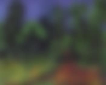 Woodland glade (preview)