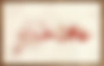 Concetto Spazziale (preview)