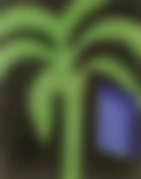 Palm and windows (preview)