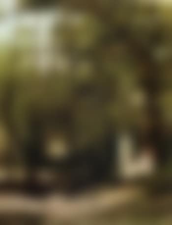 By the stream (preview)