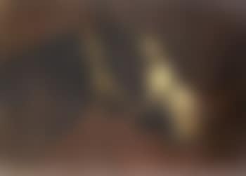 Tete de cheval en profil (preview)