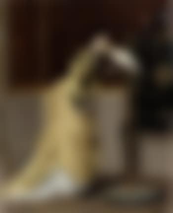 Le baiser (preview)