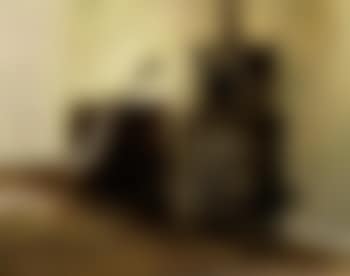 Interior with a cello (preview)
