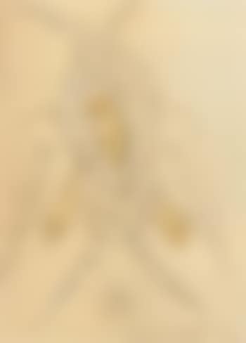 Angel (preview)