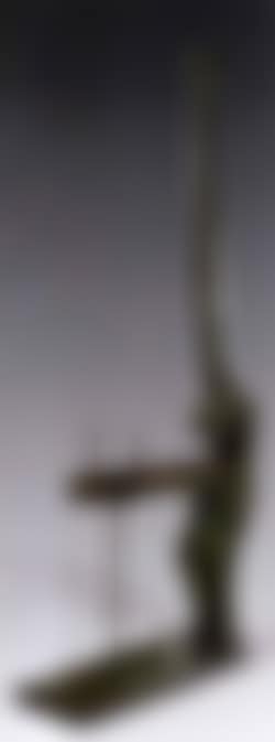 Venus a la girafe (preview)
