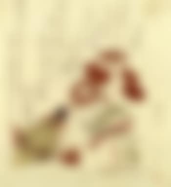 Still life with paper bag and cord with tassels (preview)