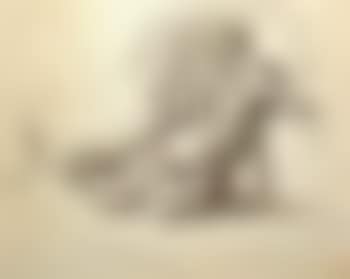 Modele nu (preview)