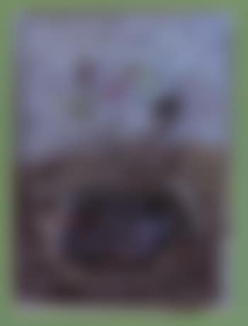 Face (preview)