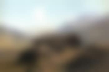 Alpine pasture (preview)