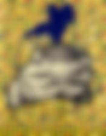 S.H. - or when do the spots count? (preview)