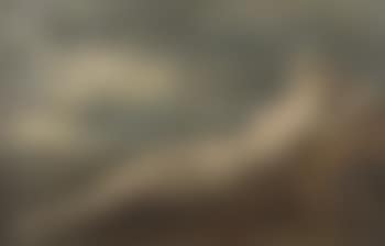 Nu couche (preview)