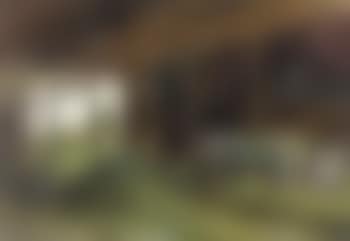 In the barn (preview)