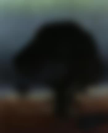 Stille Avonden (preview)