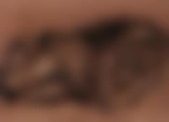 Reclining nude (preview)