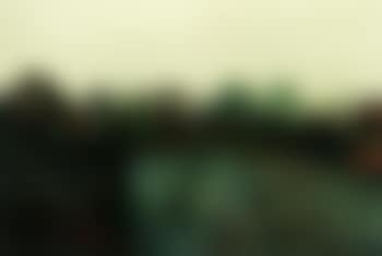 Spring landscape (preview)