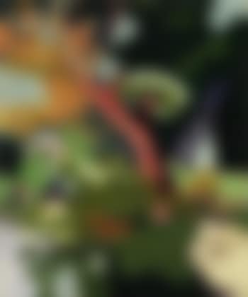Paysage au cours d'eau (preview)