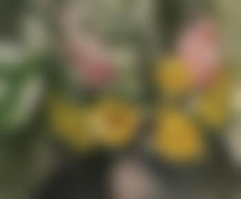 Bouquet of flowers (preview)