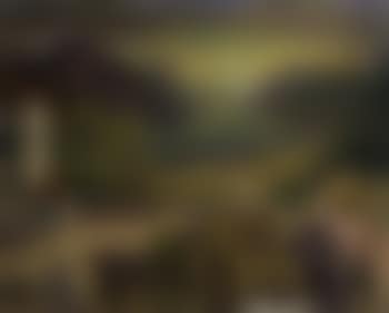 Montagnola (preview)