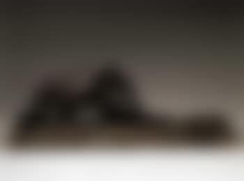 Panthere devorant (preview)