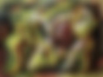 Enlevement (preview)