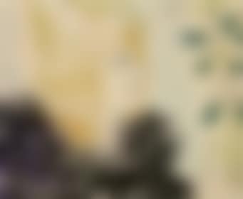 Portrait of a woman (preview)