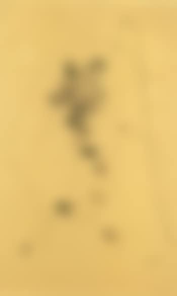 Composition (preview)