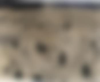 Feux (preview)