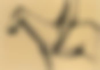 Horse and rider (preview)