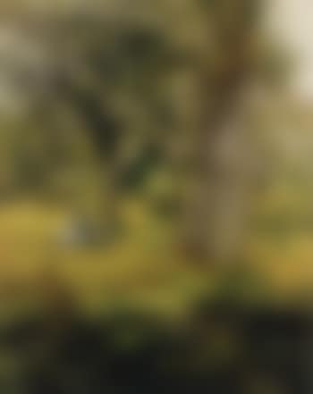 Under the blooming trees (preview)