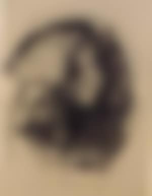 Tete de profil dans une courbe (preview)